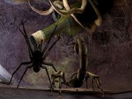 THQ Says Deadly Creatures commercial failure will not be in vain