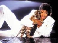 A Michael Jackson Tribute of Smooth Criminal using Ragdoll Kung Fu