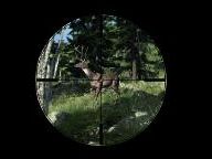 The Hunter Announces Over A Million Online Visitors