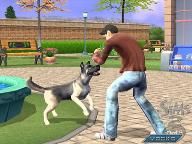 Sims 2 Pets heading to Wii – First screens and video