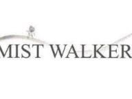 Mistwalker next game…what could it be?