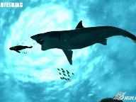 New Spearfishing Screenshots