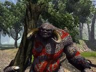 Savage 2 Update Released