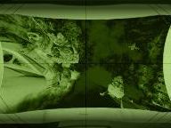 Modern Warfare 2 Prestige is $199; Preorder Tomorrow – (TAGS)