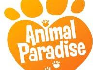 Zoo Games Open UK Office
