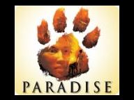 Gamezebo: Paradise Review