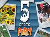 DGS-Online: 5 Spots Party Review