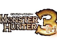 Monster Hunter 3’s perfect score Famitsu review details