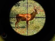 Achievements: Cabela’s Outdoor Adventures