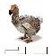 project76dodo