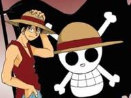 One Piece Playtest