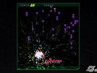 Centipede & Millipede Review