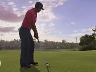 GV: Tiger Woods PGA Tour 10 Wii Review