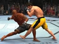 THQ Benefited from Hunger for UFC, says EEDAR