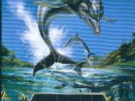 Ecco the Dolphin and Sonic 3D Composer Spencer Nielsen Interview