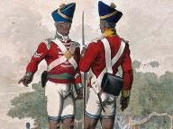 Paradox Interactive and Nitro Games Launch Pirate Bay Contest with New Patch for East India Company