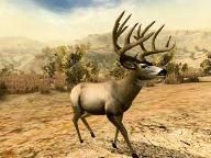 Trophy List Cabela’s Outdoor Adventures Revealed