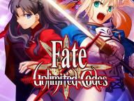 BG Review – Fate/Unlimited Codes