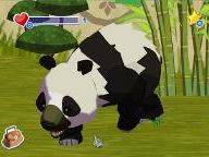 World of Zoo Animal Creator Program Launched