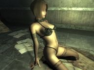 New Fallout 3 customised armour mods