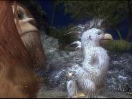 GC 09: Where The Wild Things Are – PSFocus Impression