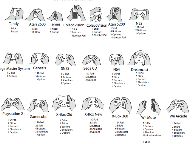 The Evolution of (Console) Game Controllers