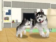 GameSpot: Petz Dogz Family Hands-On