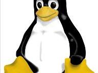 The love-hate relationship between Windows users and Linux users has existed for many years.
