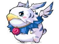 Dragonica unveils new pets system