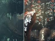 Lost Planet 2 – PS3 vs 360 comparison: PS3 demo pips 360 demo
