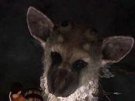 Ueda: E.T. an inspiration for The Last Guardian