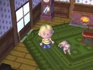 Celebrate Nintendogs Anniversary with Animal Crossing: Let’s Go To The City
