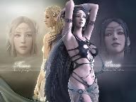 Shaiya: A Pretty Little MMORPG