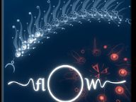 Gameolio Review: flOw