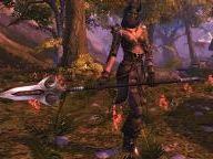The MMO Gamer Interviews MMORPG Heroes of Telara’s Russ Brown