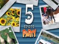 Review: 5 Spots Party | GamesAreEvil