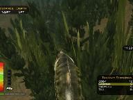 Tech-Gaming: Bass Pro Shops: The Strike Review