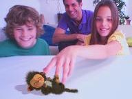 EyePet proves to be big hit in UK, tops U2, MW2