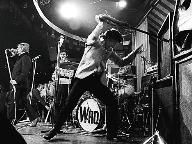 The Who: Rock Band in Development?