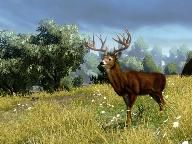About: Cabela’s Outdoor Adventures Review