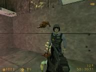 Petition: Include Half-Life on Half-Life 2’s CE