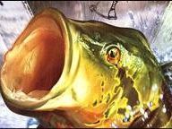 Classic Game Room: Shimano Xtreme Fishing Review