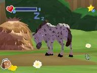 Nintendojo: World of Zoo Wii Review