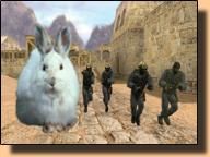 The Bunny Hop