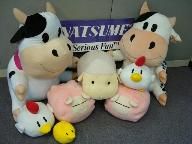 Natsume on success and wearing many hats