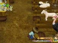 Fragland: Harvest Moon: Tree of Tranquility Review