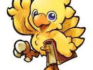 Real Bird Attacks Chocobo