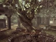 Gears of War Update