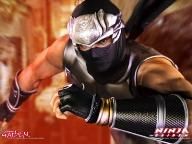 Tecmo: Devs Have No Info On Sony PS3 Home