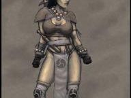 Diablo 3 Team Drastically Increased. Monk-Woman Promised.